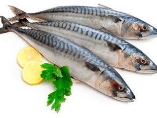mackerel to increase potency
