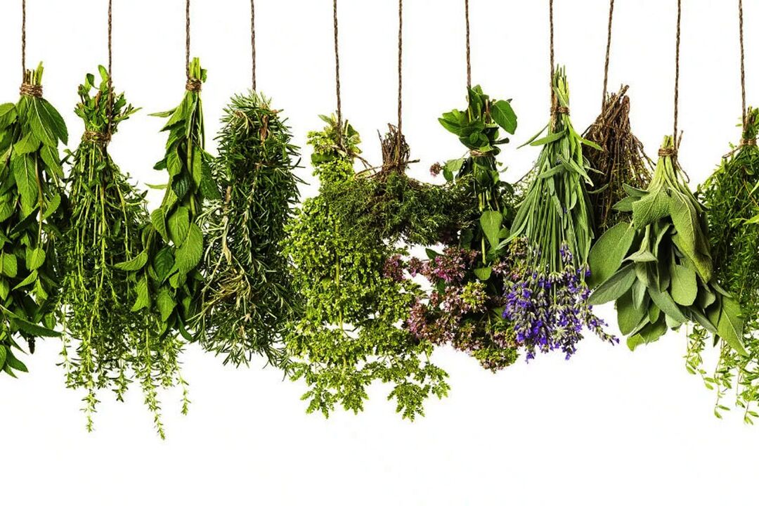 tropical herb extract in Eroboost